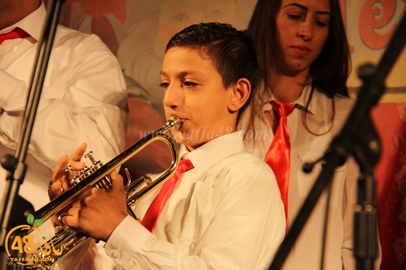 tree xrismass (32).JPG